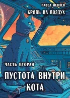 Пустота внутри кота СИ