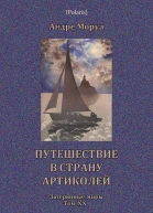 Путешествие в страну Артиколей