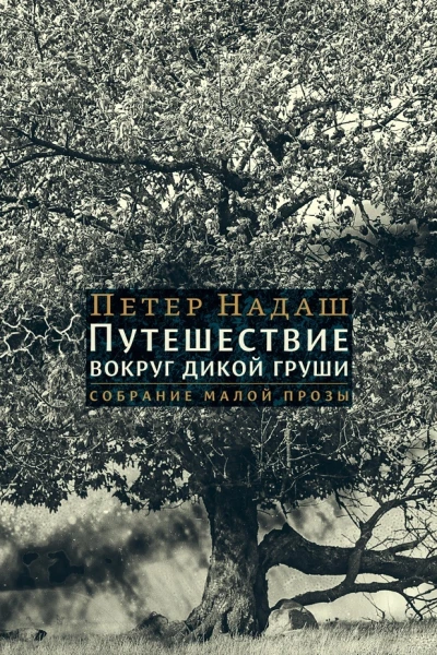 Путешествие вокруг дикой груши