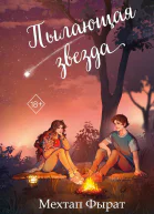 Пылающая звезда  Мехтап Фырат