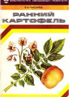 Ранний картофель