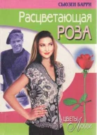 Расцветающая роза