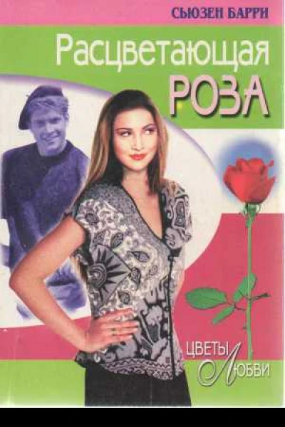 Расцветающая роза