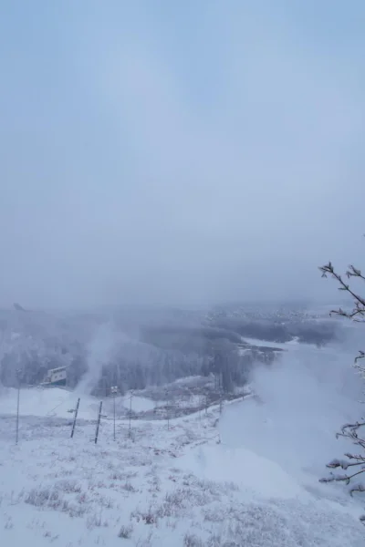 Рассказ Калача