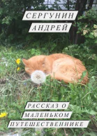 Рассказ о маленьком путешественнике