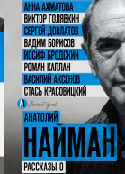 Рассказы о