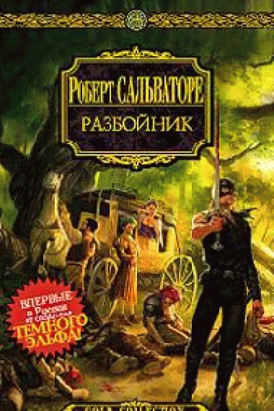 Разбойник