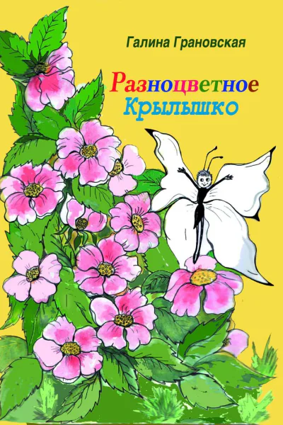 Разноцветное Крылышко