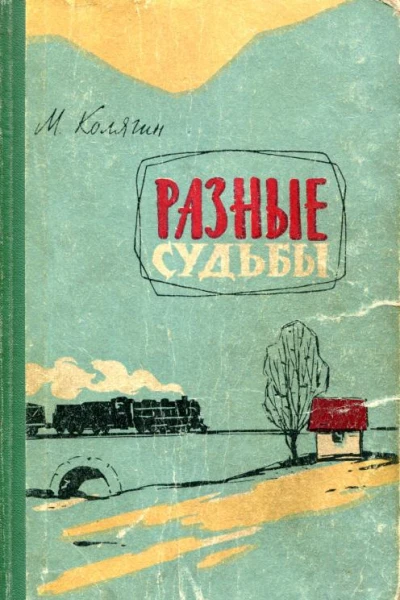 Разные судьбы Роман