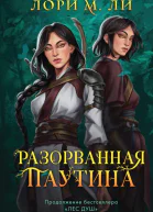 Разорванная паутина