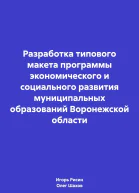 Разработка типового макета программы экономического и социального развития муниципальных образований Воронежской области
