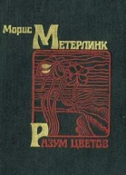 Разум цветов