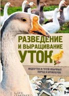 Разведение и выращивание уток индоуток и гусей обычных пород и бройлеров