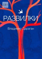 Развилки