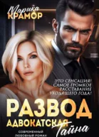 Развод Адвокатская тайна СИ