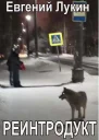 Реинтродукт