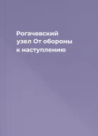 Рогачевский узел От обороны к наступлению