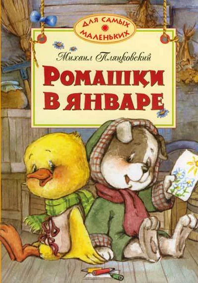 Ромашки в январе