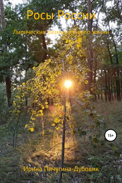 Росы России Лирические размышления о жизни