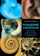 Рождение сложности