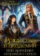 Рождество в академии или артефакт незримого озера