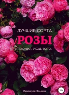 Розы Лучшие сорта