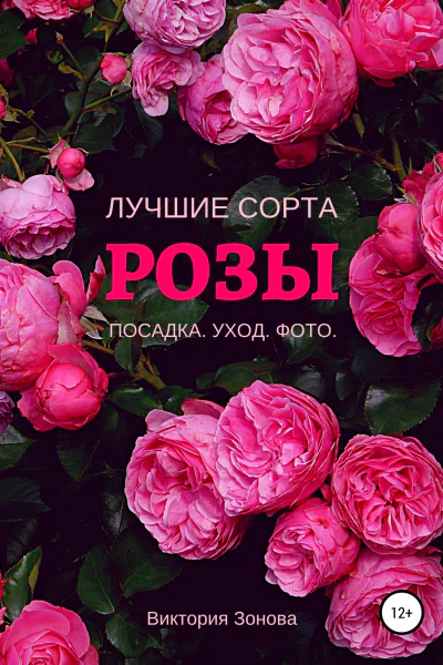 Розы Лучшие сорта