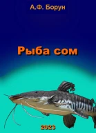 Рыба сом