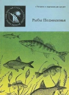 Рыбы Подмосковья