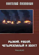 Рыжий Рябой Четырёхпалый и Хвост