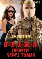STIKS Пройти через туман СИ