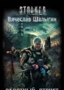 Шалыгин Вячеслав  Обратный отсчет