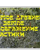 Самое древнее на земле изображение свастики