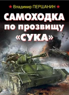 Самоходка по прозвищу Сука Прямой наводкой по врагу  Владимир Першанин
