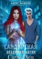 Сандарская академия магии Carpe Diem
