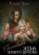 Сбежавшая жена Черного дракона Книга 3