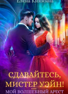 Сдавайтесь мистер Уэйн или Мой волшебный арест