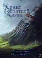 Сеанс обратной связи СИ