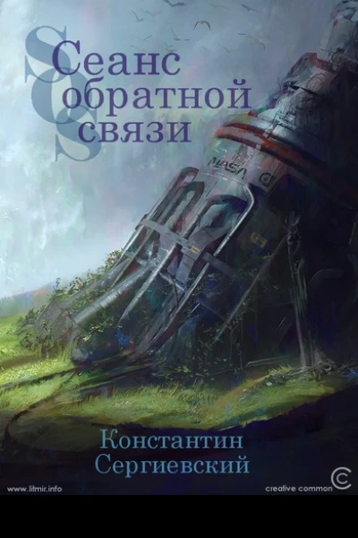 Сеанс обратной связи СИ
