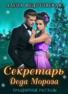 Секретарь Деда Мороза СИ
