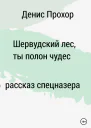 Шервурдский лес ты полон чудес Рассказ спецназера
