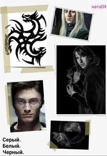 Серый Белый Черный СИ