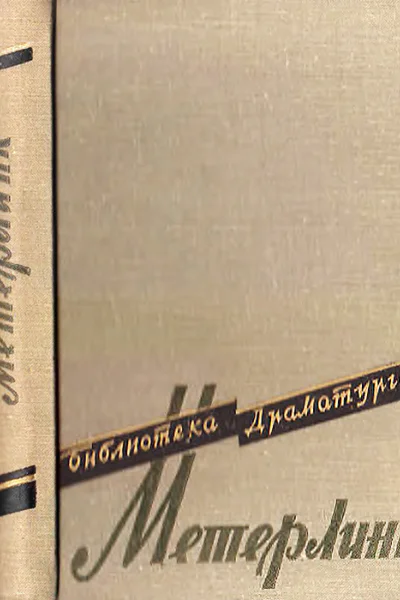 Сестра Беатриса