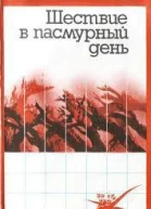 Шествие в пасмурный день