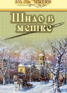 Шило в мешке