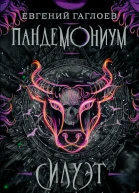 Силуэт в разбитом зеркале