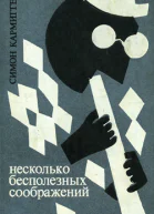 Симон Кармиггелт Несколько бесполезных соображений