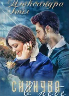 Синичка в небе СИ