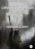 Сирийский марафон Книга вторая Часть 2 Невидимое вижу