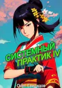 Системный практик IV СИ